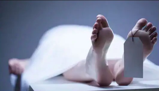 हैदराबाद में जहरीली ताड़ी से तबाही: पेट दर्द, उल्टी के बाद बिगड़ी लोगों की हालत, चार की मौत